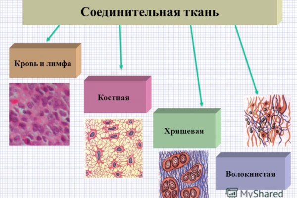 Правила омг омг