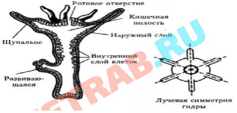 Омг омг сайт официальный