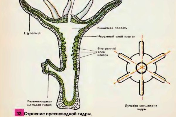 Новые омг